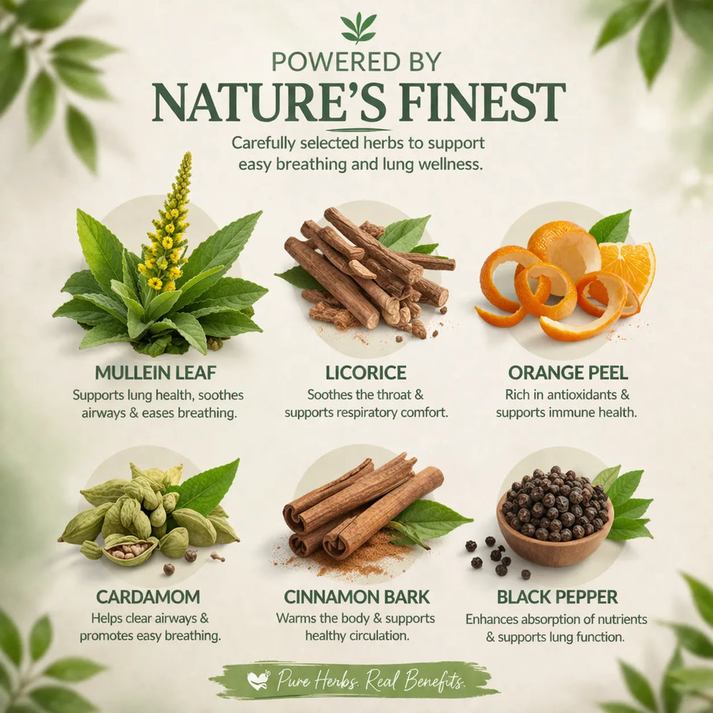 Lungs Cleanse Herbal Detox Infusion