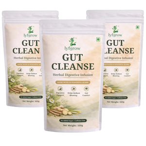Gut Cleanse Herbal Digestive Infusion